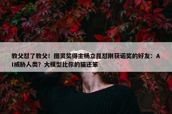 教父怼了教父！图灵奖得主杨立昆怼刚获诺奖的好友：AI威胁人类？大模型比你的猫还笨