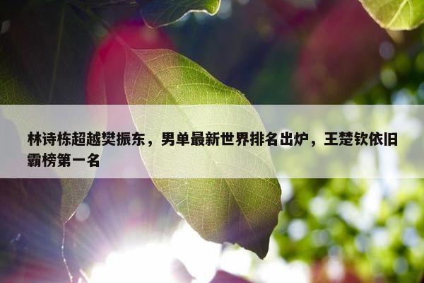 林诗栋超越樊振东，男单最新世界排名出炉，王楚钦依旧霸榜第一名