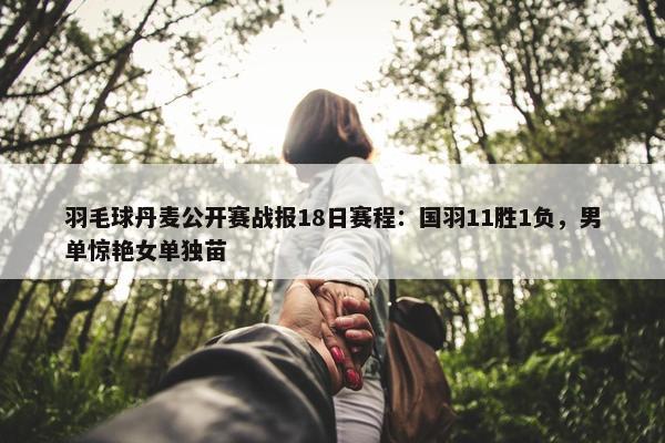 羽毛球丹麦公开赛战报18日赛程：国羽11胜1负，男单惊艳女单独苗