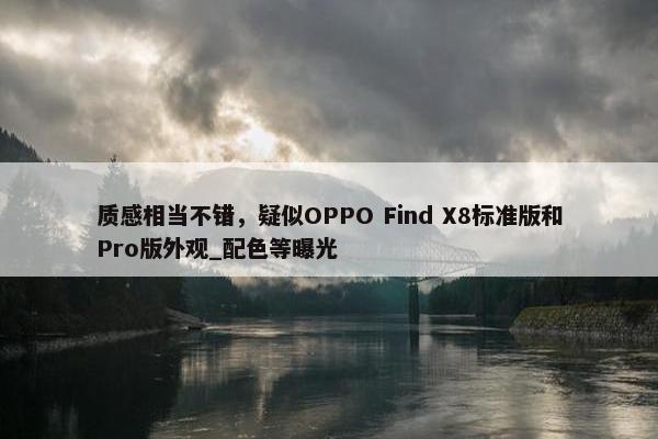 质感相当不错，疑似OPPO Find X8标准版和Pro版外观_配色等曝光