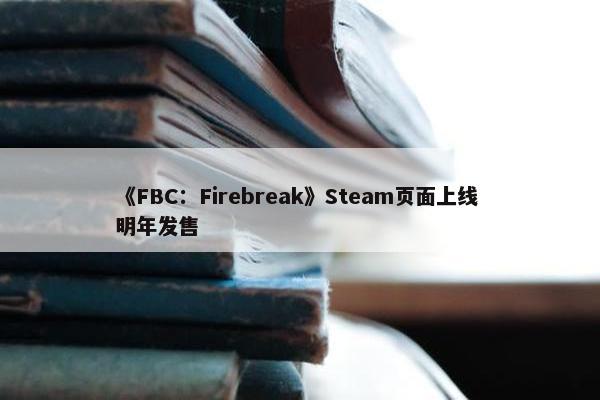 《FBC：Firebreak》Steam页面上线 明年发售