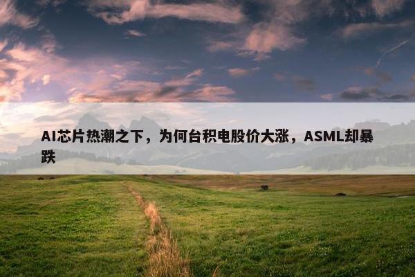 AI芯片热潮之下，为何台积电股价大涨，ASML却暴跌