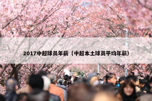 2017中超球员年薪（中超本土球员平均年薪）