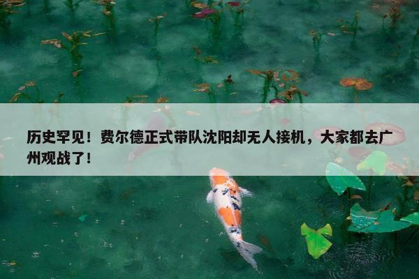 历史罕见！费尔德正式带队沈阳却无人接机，大家都去广州观战了！