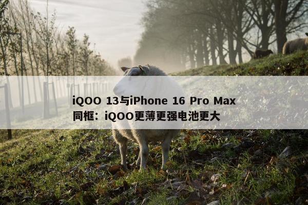 iQOO 13与iPhone 16 Pro Max同框：iQOO更薄更强电池更大