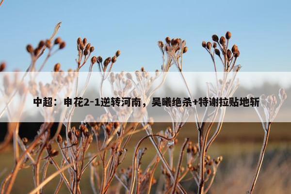 中超：申花2-1逆转河南，吴曦绝杀+特谢拉贴地斩