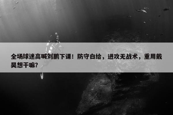 全场球迷高喊刘鹏下课！防守白给，进攻无战术，重用戴昊想干嘛？