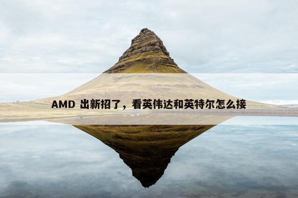 AMD 出新招了，看英伟达和英特尔怎么接