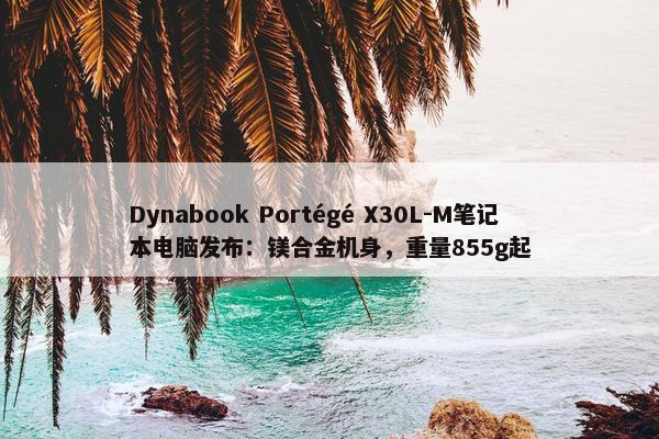 Dynabook Portégé X30L-M笔记本电脑发布：镁合金机身，重量855g起