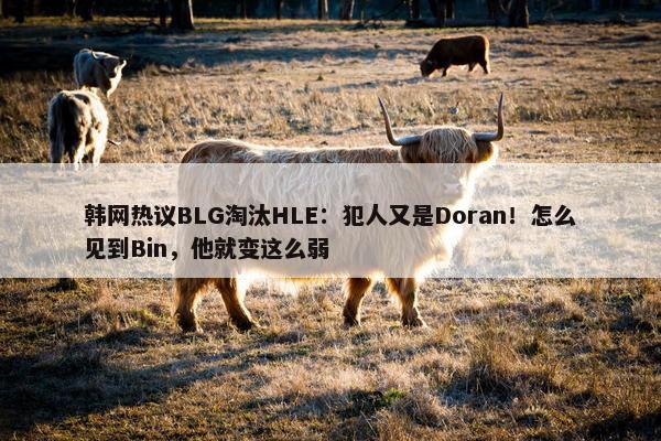 韩网热议BLG淘汰HLE：犯人又是Doran！怎么见到Bin，他就变这么弱