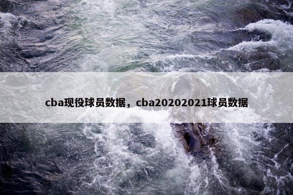 cba现役球员数据，cba20202021球员数据