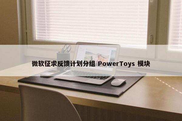 微软征求反馈计划分组 PowerToys 模块