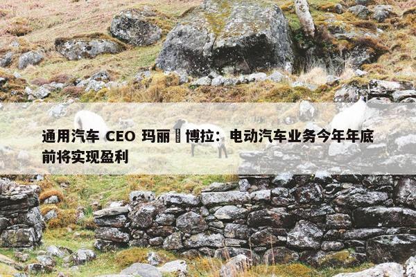 通用汽车 CEO 玛丽・博拉：电动汽车业务今年年底前将实现盈利