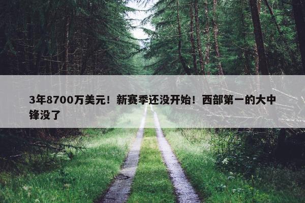 3年8700万美元！新赛季还没开始！西部第一的大中锋没了