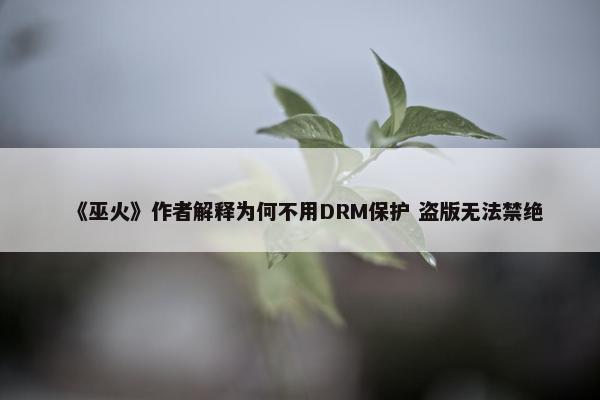 《巫火》作者解释为何不用DRM保护 盗版无法禁绝