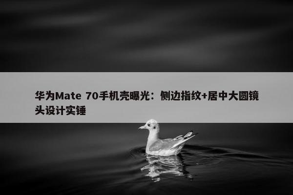 华为Mate 70手机壳曝光：侧边指纹+居中大圆镜头设计实锤