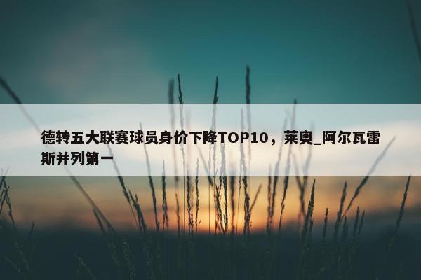 德转五大联赛球员身价下降TOP10，莱奥_阿尔瓦雷斯并列第一