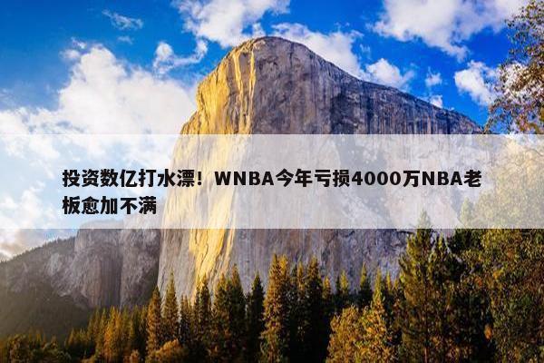 投资数亿打水漂！WNBA今年亏损4000万NBA老板愈加不满