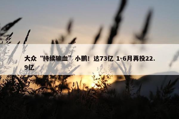 大众“持续输血”小鹏！达73亿 1-6月再投22.9亿