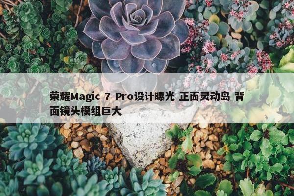 荣耀Magic 7 Pro设计曝光 正面灵动岛 背面镜头模组巨大