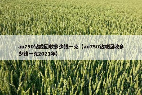 au750钻戒回收多少钱一克（au750钻戒回收多少钱一克2021年）