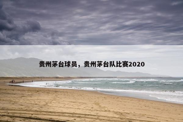 贵州茅台球员，贵州茅台队比赛2020