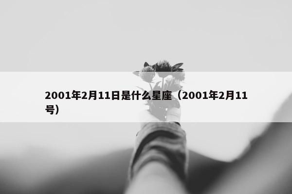 2001年2月11日是什么星座（2001年2月11号）