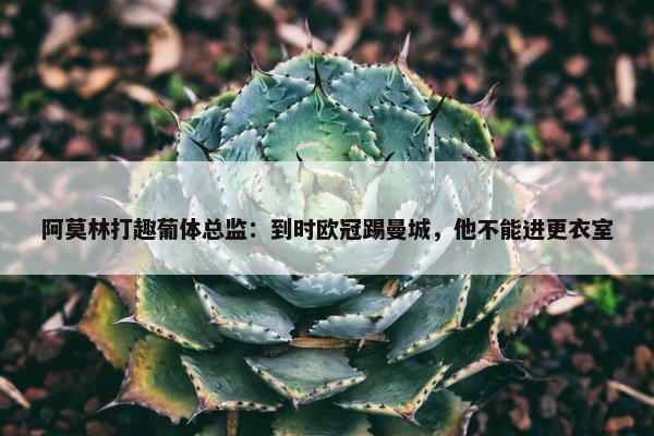 阿莫林打趣葡体总监：到时欧冠踢曼城，他不能进更衣室