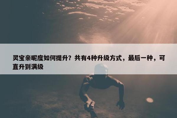 灵宝亲昵度如何提升？共有4种升级方式，最后一种，可直升到满级