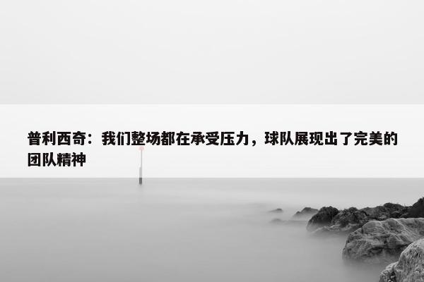 普利西奇：我们整场都在承受压力，球队展现出了完美的团队精神