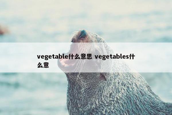 vegetable什么意思 vegetables什么意