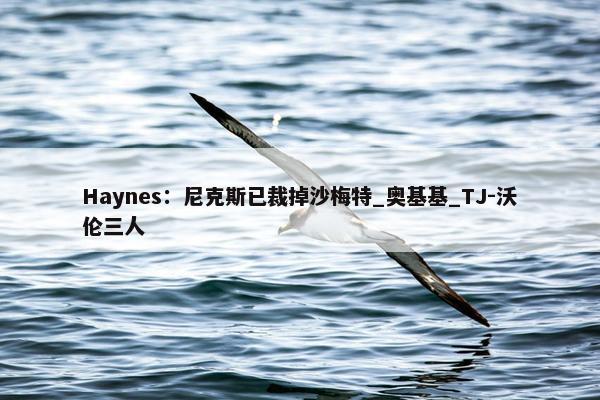 Haynes：尼克斯已裁掉沙梅特_奥基基_TJ-沃伦三人