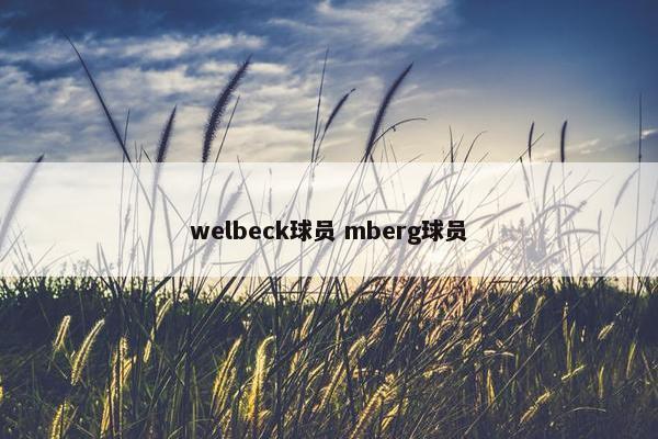 welbeck球员 mberg球员