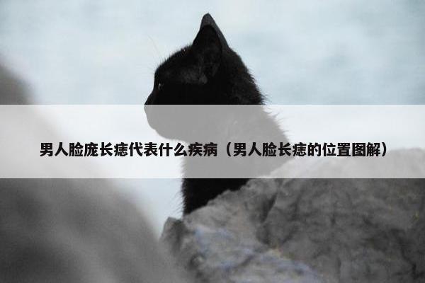 男人脸庞长痣代表什么疾病（男人脸长痣的位置图解）