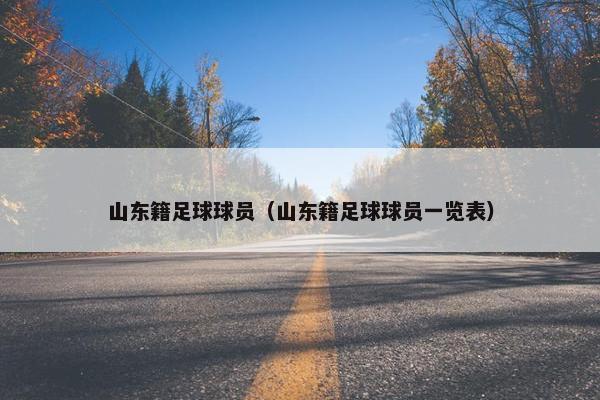 山东籍足球球员（山东籍足球球员一览表）