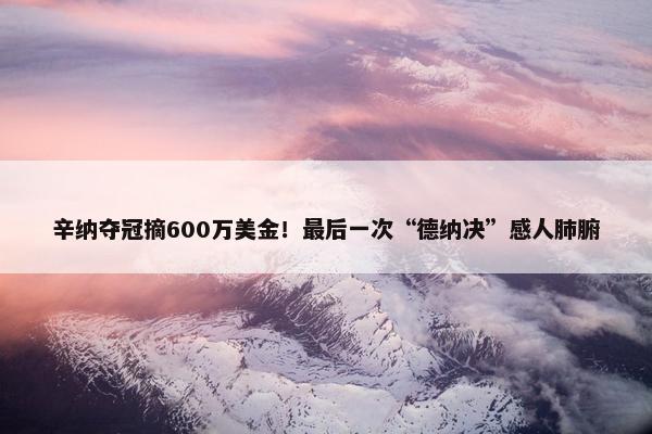 辛纳夺冠摘600万美金！最后一次“德纳决”感人肺腑