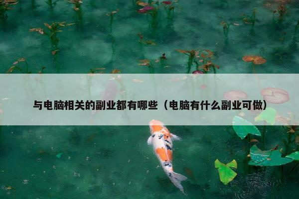 与电脑相关的副业都有哪些（电脑有什么副业可做）