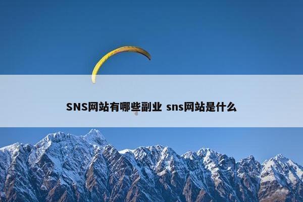 SNS网站有哪些副业 sns网站是什么