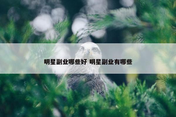 明星副业哪些好 明星副业有哪些