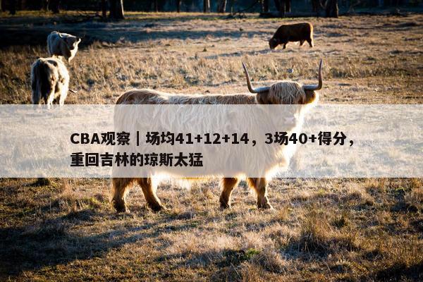 CBA观察｜场均41+12+14，3场40+得分，重回吉林的琼斯太猛