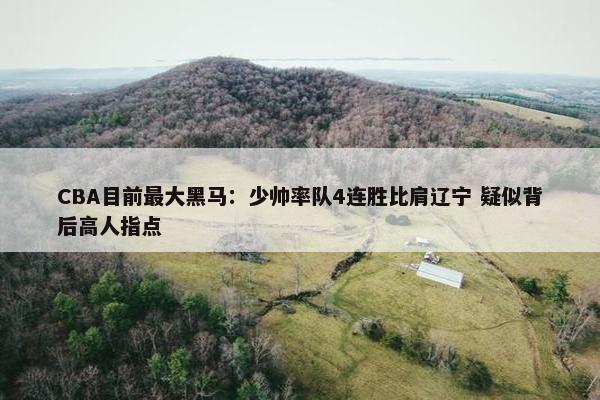 CBA目前最大黑马：少帅率队4连胜比肩辽宁 疑似背后高人指点