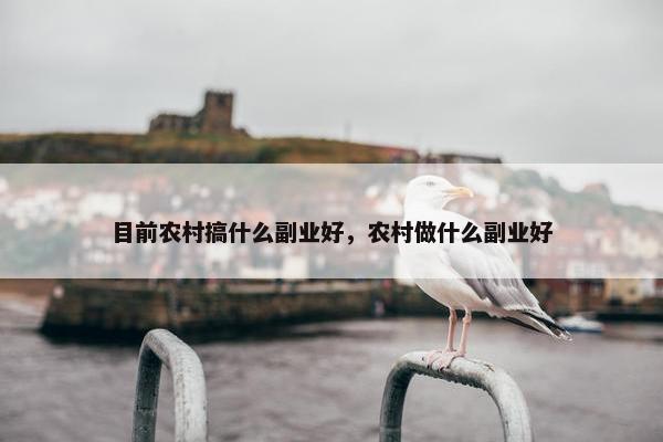 目前农村搞什么副业好，农村做什么副业好