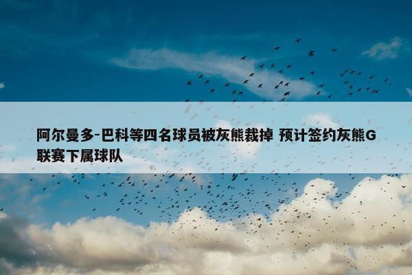 阿尔曼多-巴科等四名球员被灰熊裁掉 预计签约灰熊G联赛下属球队