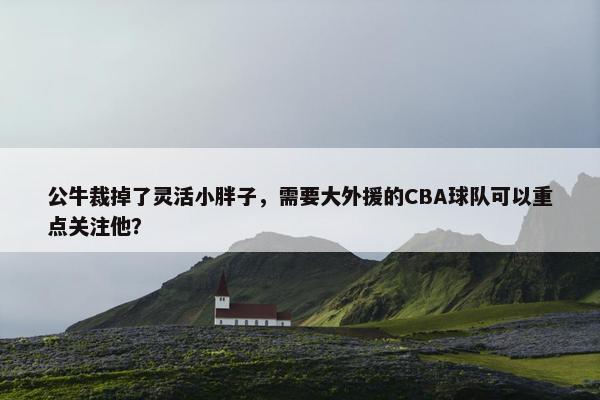 公牛裁掉了灵活小胖子，需要大外援的CBA球队可以重点关注他？