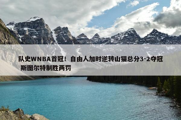 队史WNBA首冠！自由人加时逆转山猫总分3-2夺冠 斯图尔特制胜两罚