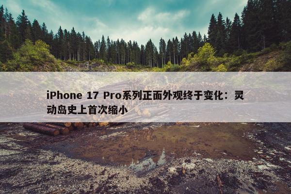 iPhone 17 Pro系列正面外观终于变化：灵动岛史上首次缩小