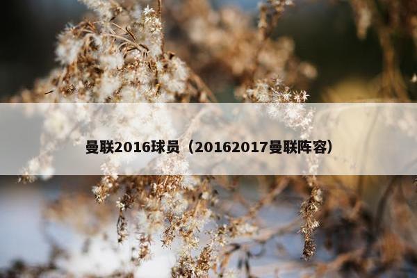 曼联2016球员（20162017曼联阵容）