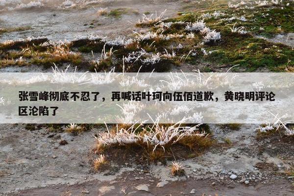 张雪峰彻底不忍了，再喊话叶珂向伍佰道歉，黄晓明评论区沦陷了