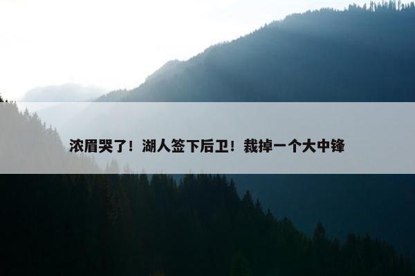 浓眉哭了！湖人签下后卫！裁掉一个大中锋