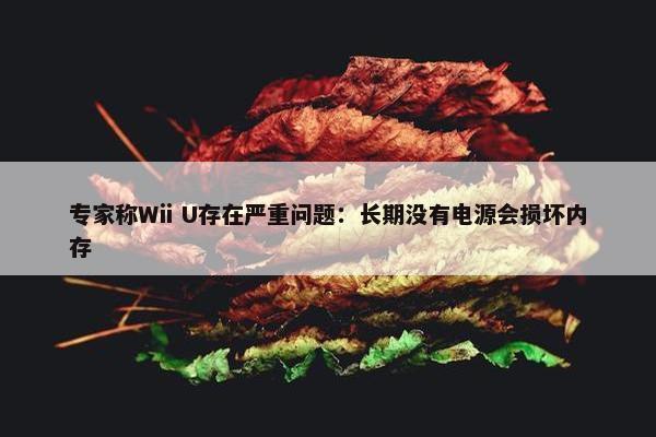 专家称Wii U存在严重问题：长期没有电源会损坏内存